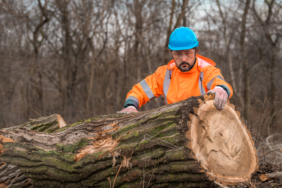 man holding a tree log